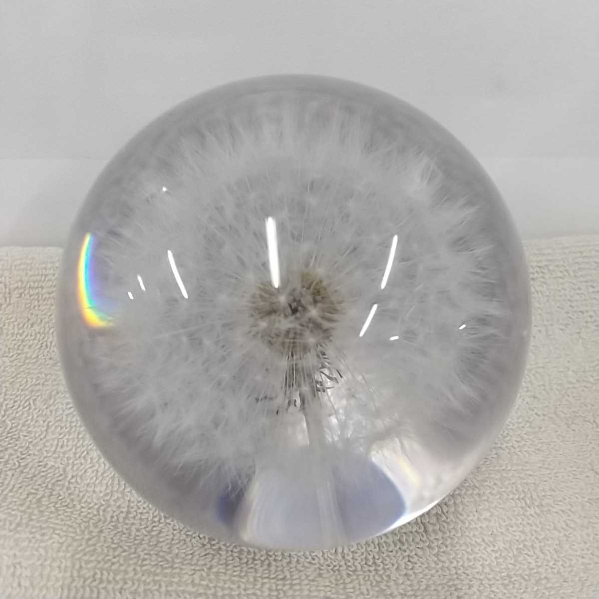 ペーパーウェイト PAPER WEIGHT Grange たんぽぽ 綿毛 - ペーパー 