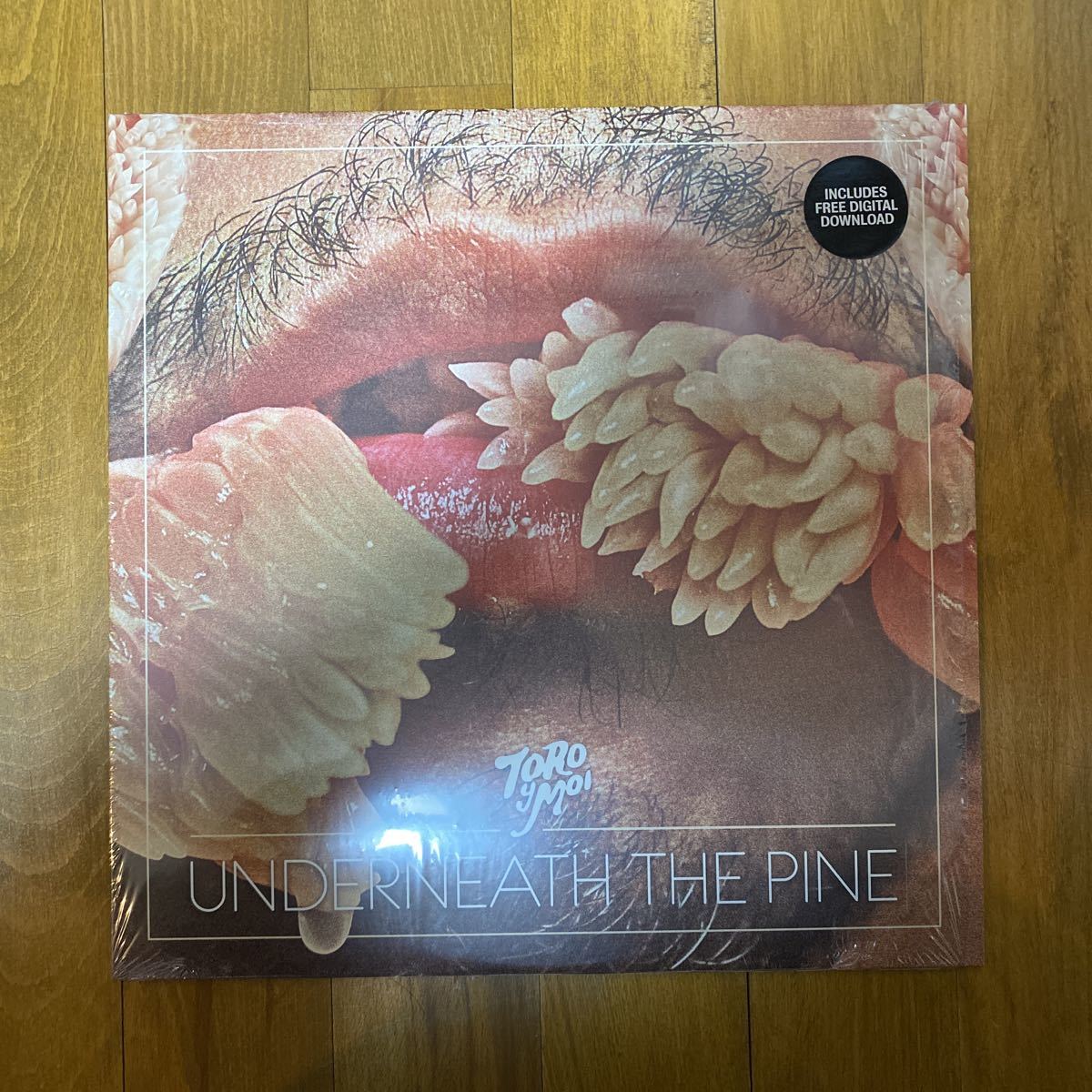 Toro Y Moi Underneath The Pine (LP) Carpark Records CAK59 トロイモア インディー・ダンス_1