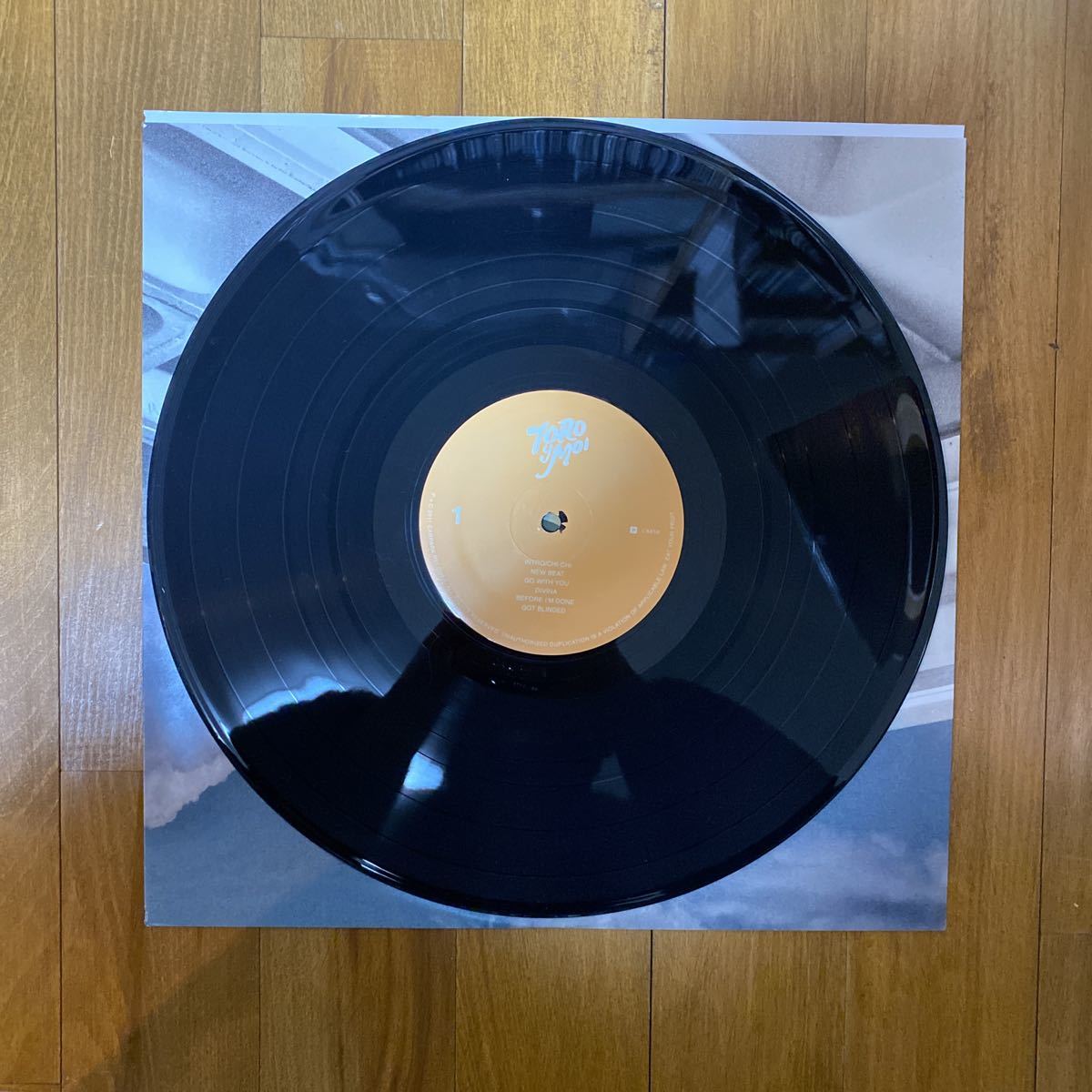 Toro Y Moi Underneath The Pine (LP) Carpark Records CAK59 トロイモア インディー・ダンス_3