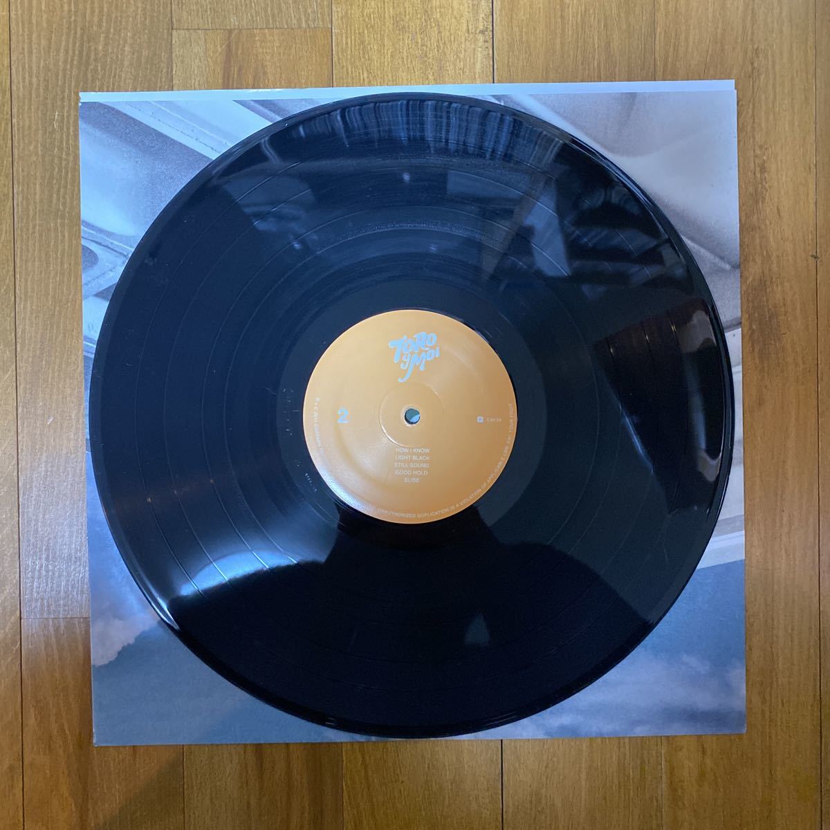 Toro Y Moi Underneath The Pine (LP) Carpark Records CAK59 トロイモア インディー・ダンス_4