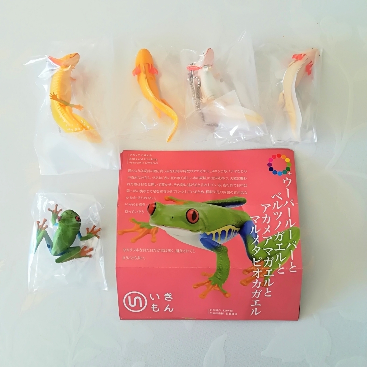 ウーパールーパーとアカメアマガエル ボールチェーン マグネット 5種類 ネイチャーテクニカラー リアルフィギュア ミニチュアフィギュア 生き物 売買されたオークション情報 Yahooの商品情報をアーカイブ公開 オークファン Aucfan Com ウーパールーパーとアカメアマガエル ボールチェーン マグネット 5種類 ネイチャーテクニカラー リアルフィギュア ミニチュアフィギュア 生き物 売買されたオークション情報 Yahooの商品情報をアーカイブ公開 オークファン Aucfan Com