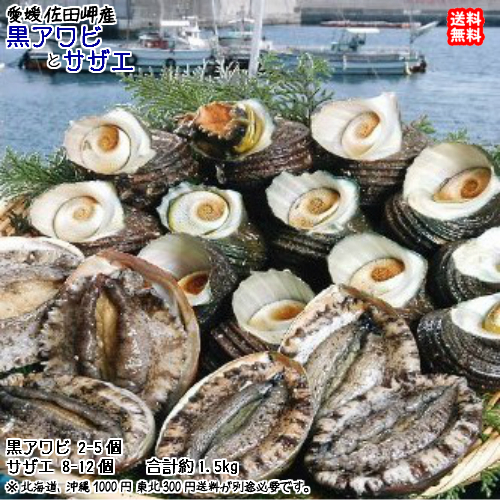 息子のおかず工房 #旬の天然岩牡蠣 宣伝用出品 約5キロ 宣伝用#つゆ味