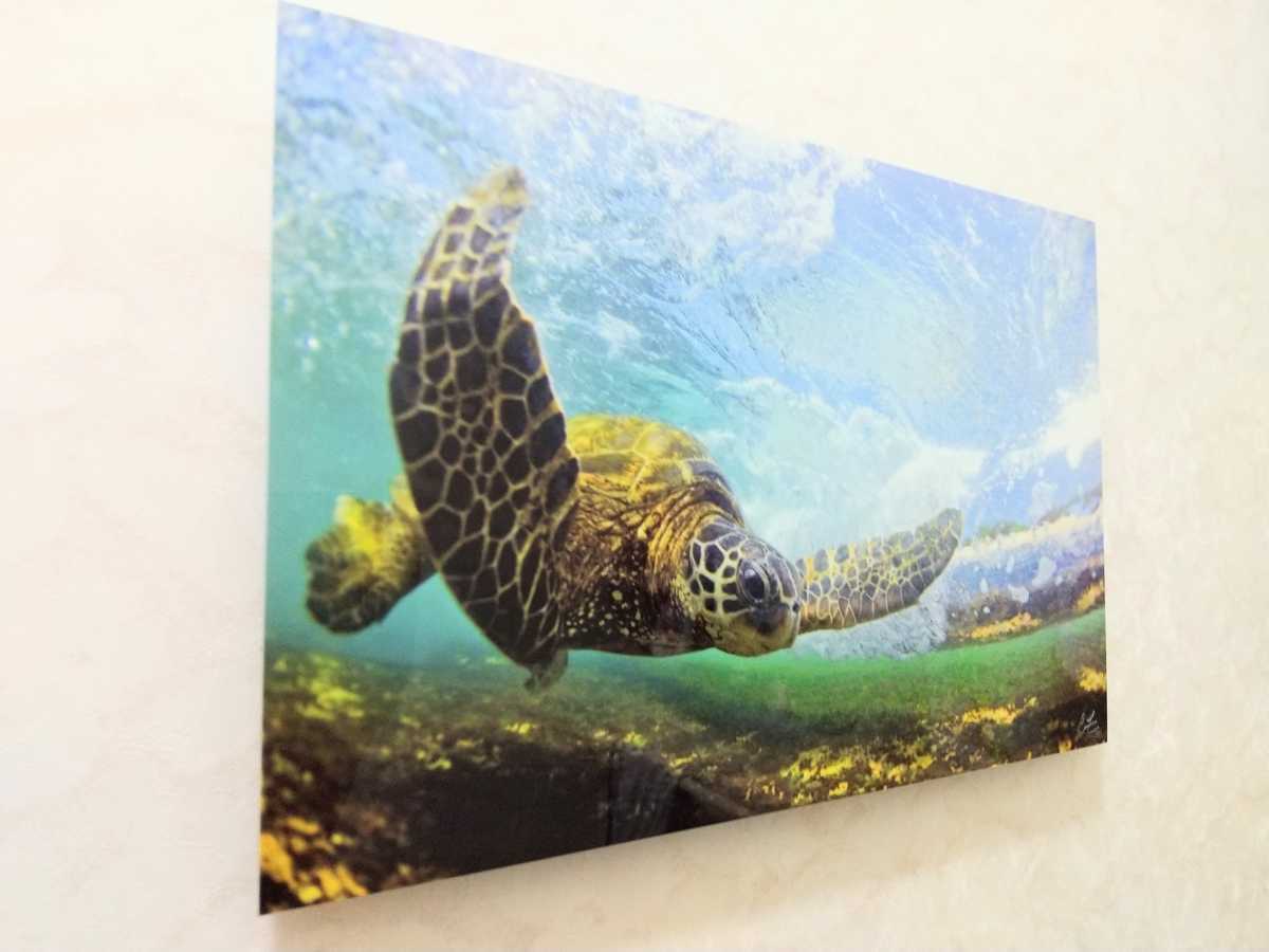 Clark FLYING ⁄ Little（クラークリトル）のAlumi Prints通販 HONU