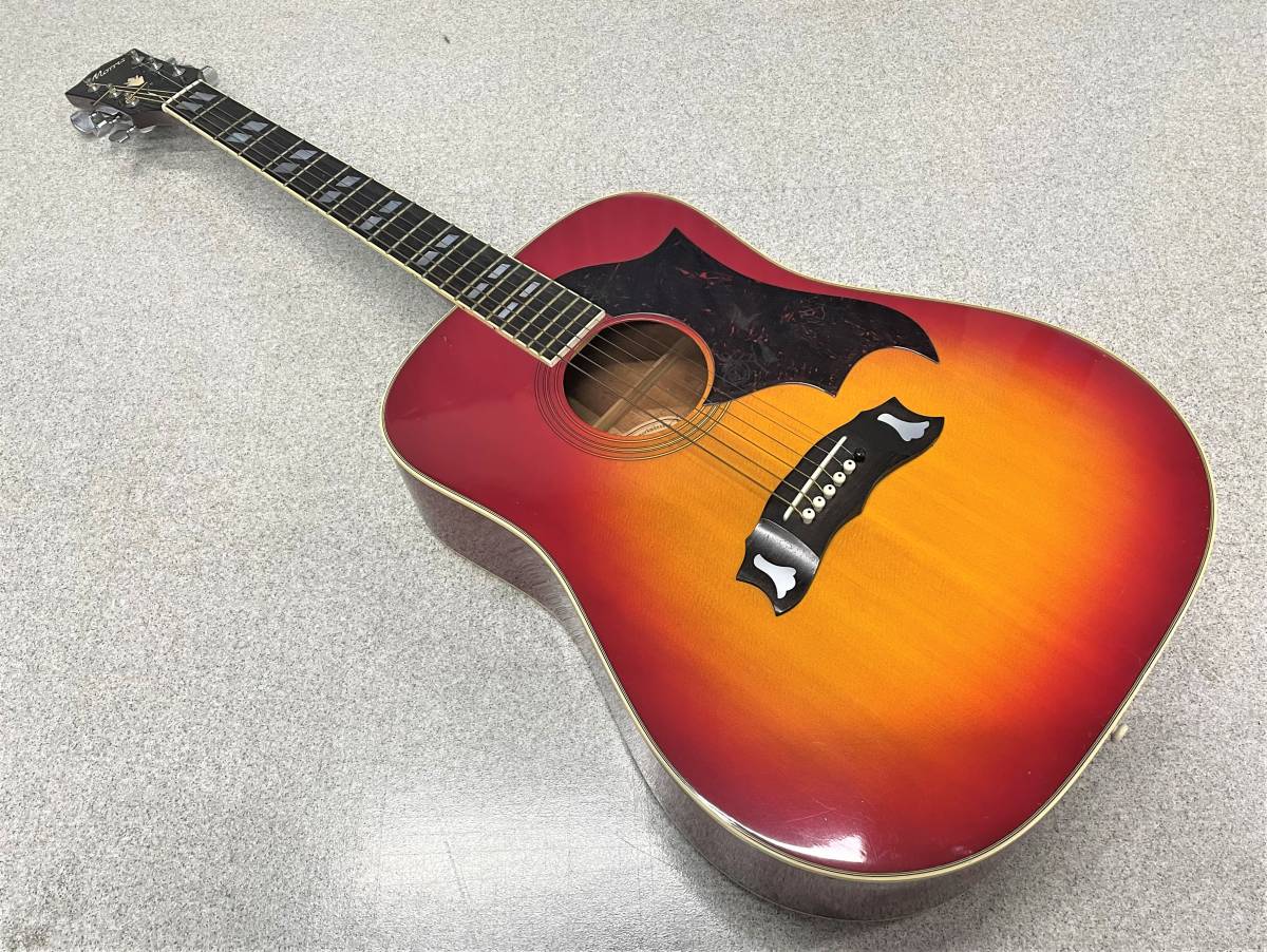 20☆Morris☆モーリス◇アコースティックギター WD-25 ☆ 【公式通販】