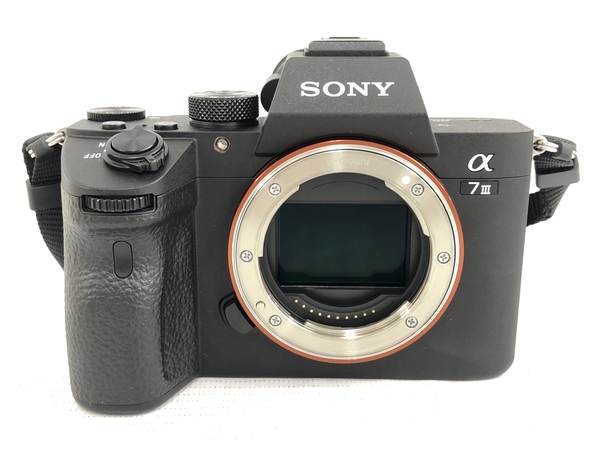 ☆ SONY ソニー NEX-F3 ミラーレス一眼レフ 3.5-5.6/18-55 ソフト