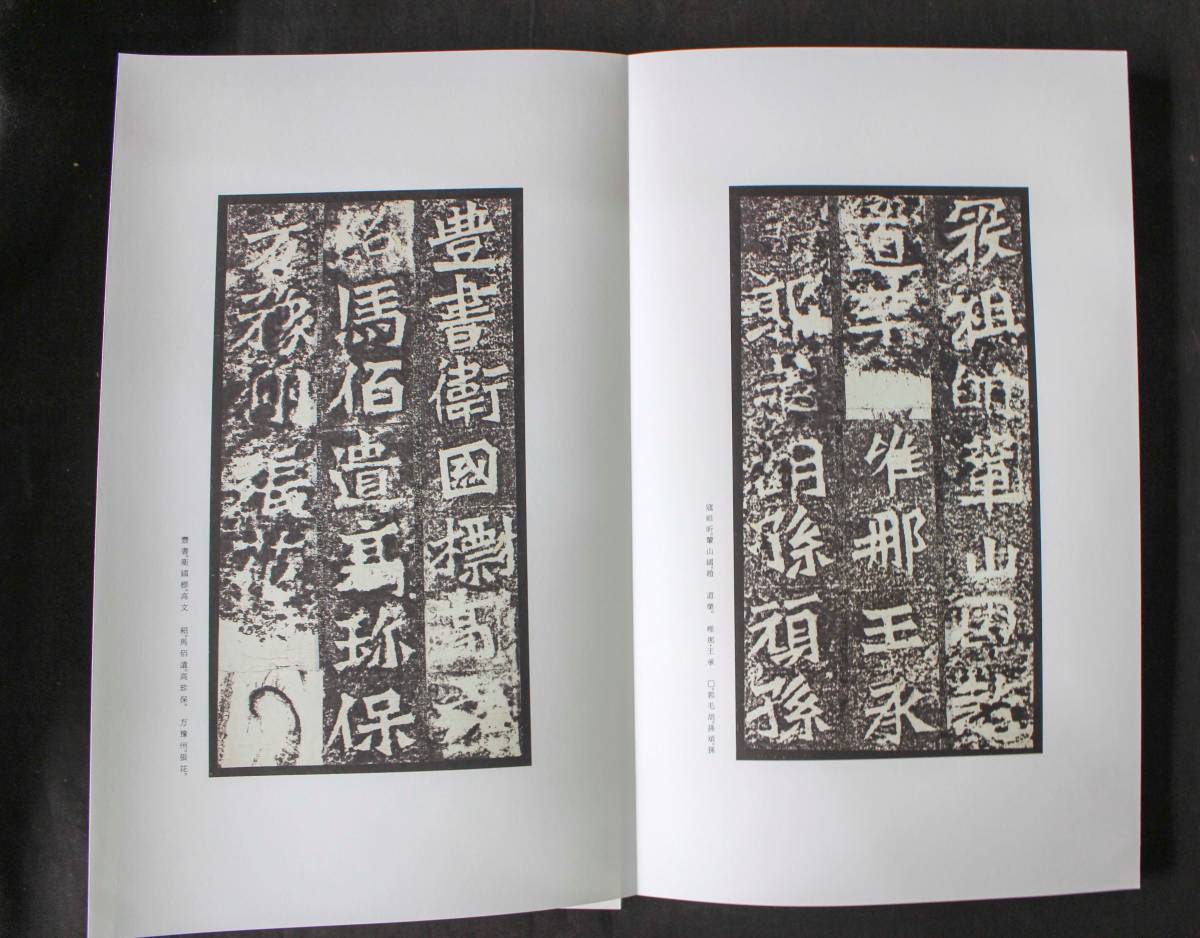 中国書法 北魏造像記 『龍門二十品』 中国書法編輯組編 文物出版 