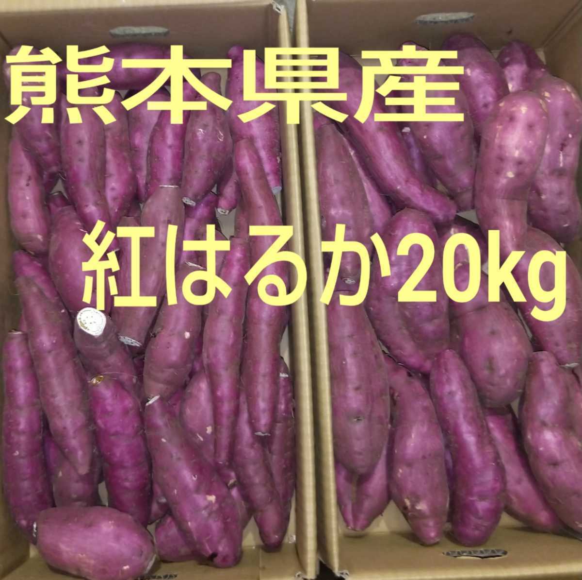 特売！熊本県産 大津 べにはるか 紅はるか サイズ指定無し 10kg(送料