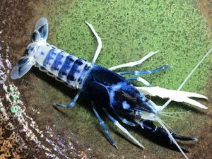 21年07月 ヤフオク のその他の相場 価格を見る ヤフオク のオークションのその他売買情報は1 530件が掲載されています