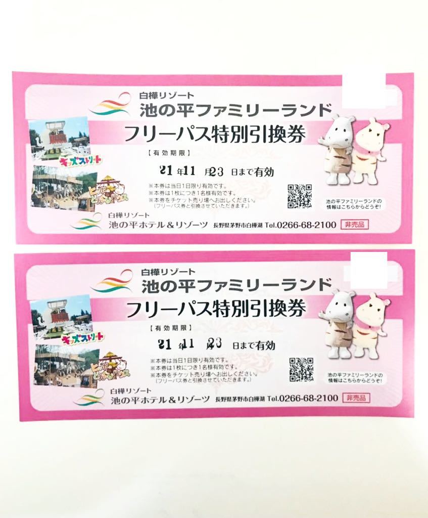 未使用] 池の平 ファミリーランド フリーパス 引換券 白樺リゾート