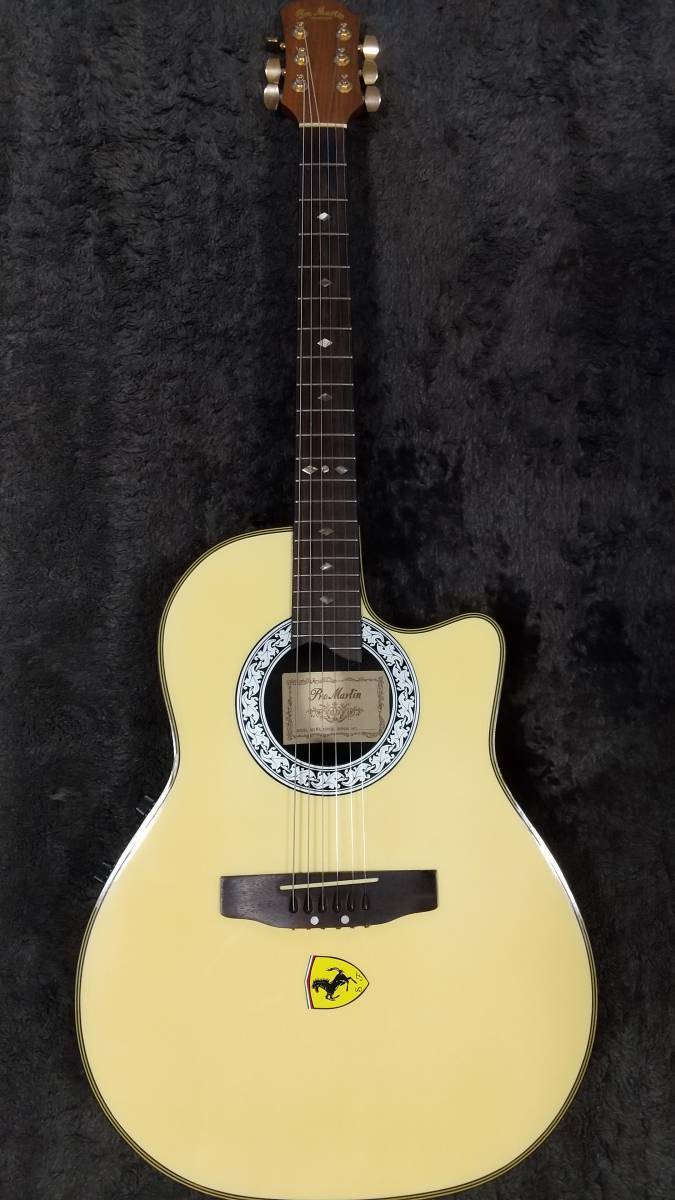 Pro Martin プロ マーティン EA 350 WH エレアコ アコースティック