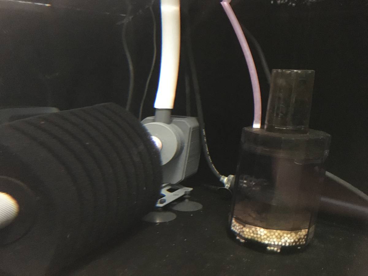 カンテツ アクリル水槽 １２０ｃｍ 水槽セット 1cm 売買されたオークション情報 Yahooの商品情報をアーカイブ公開 オークファン Aucfan Com