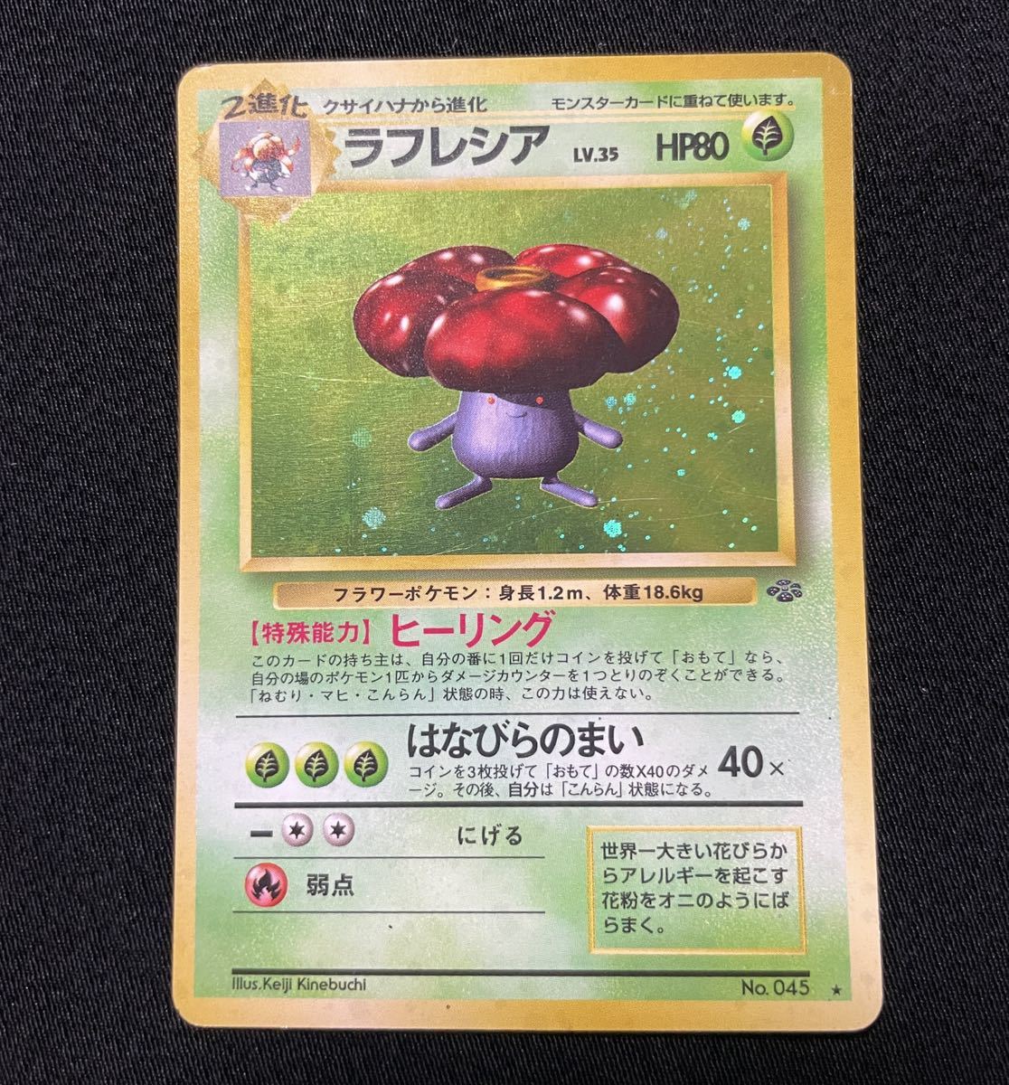 ラフレシア ポケモンカード ポケカ 旧裏面 ポケットモンスター Pocket Monsters ポケモンカードゲーム 売買されたオークション情報 Yahooの商品情報をアーカイブ公開 オークファン Aucfan Com ラフレシア ポケモンカード ポケカ 旧裏面 ポケットモンスター Pocket Monsters ポケモンカードゲーム 売買されたオークション情報 Yahooの商品情報をアーカイブ公開 オークファン Aucfan Com
