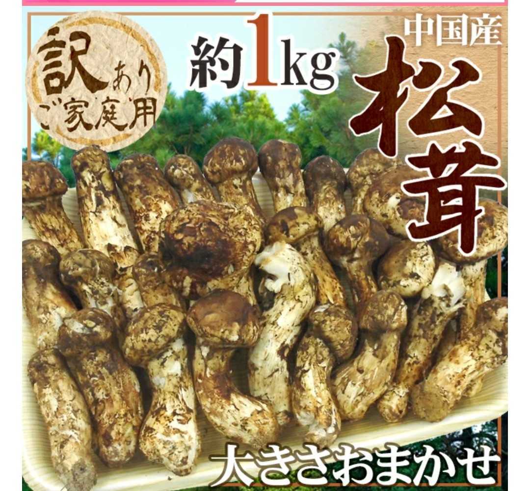 数量限定品！早い者勝ち！訳あり 中国産 松茸 1㎏ 送料無料 中国産