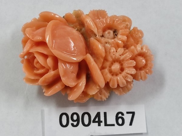 4★本珊瑚 彫り物 18.6g サンゴ 本珊瑚 彫刻品 5個セット □ 13㎜ 4★本珊瑚 彫り物 18.6g サンゴ 本珊瑚 彫刻品 5個セット □ 13㎜