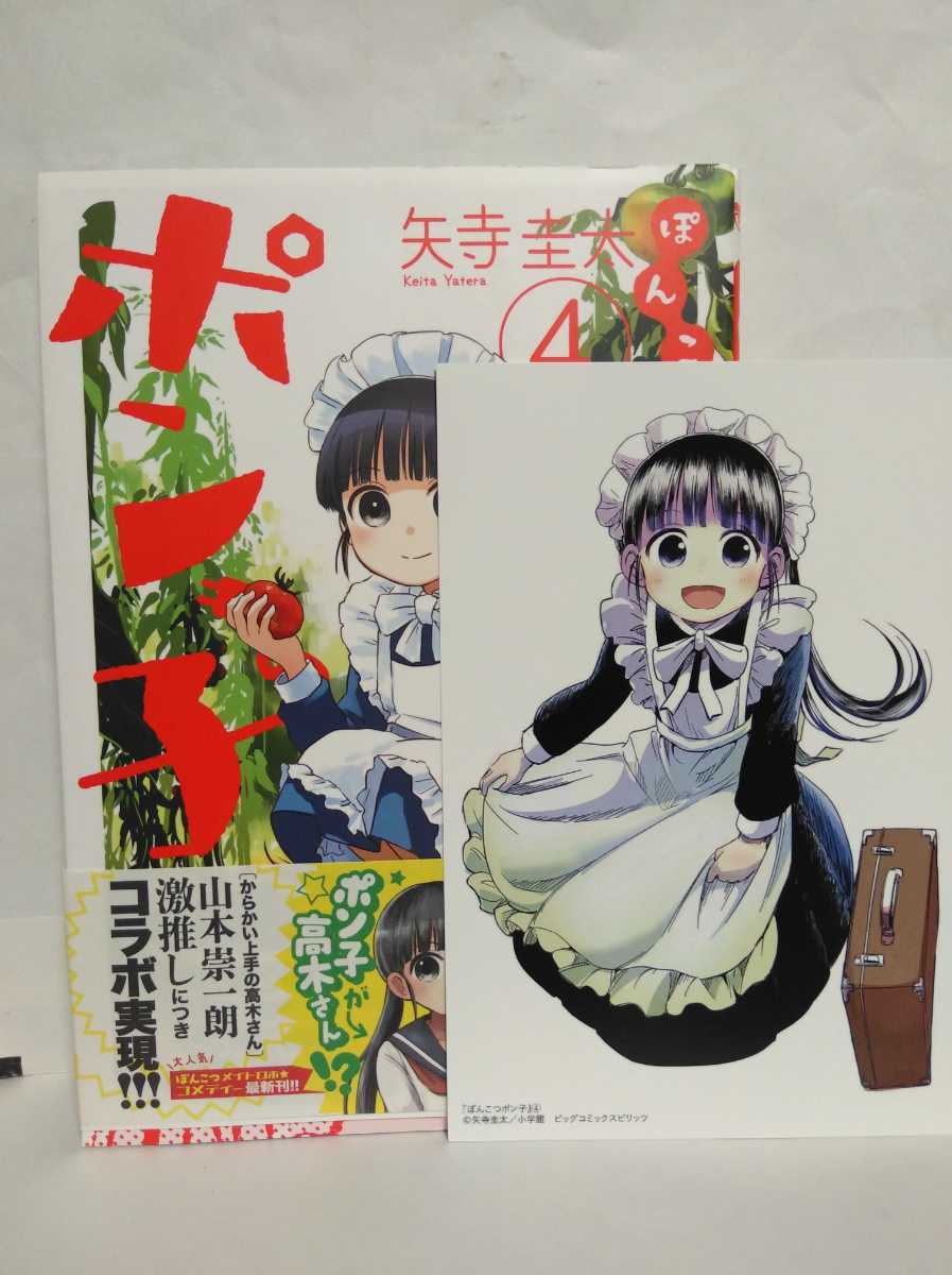 イラストカード有 帯付初版 ぽんこつポン子 4巻 矢寺圭太 かわいいメイドロボットと田舎とおじいちゃん 最高 青年 売買されたオークション情報 Yahooの商品情報をアーカイブ公開 オークファン Aucfan Com