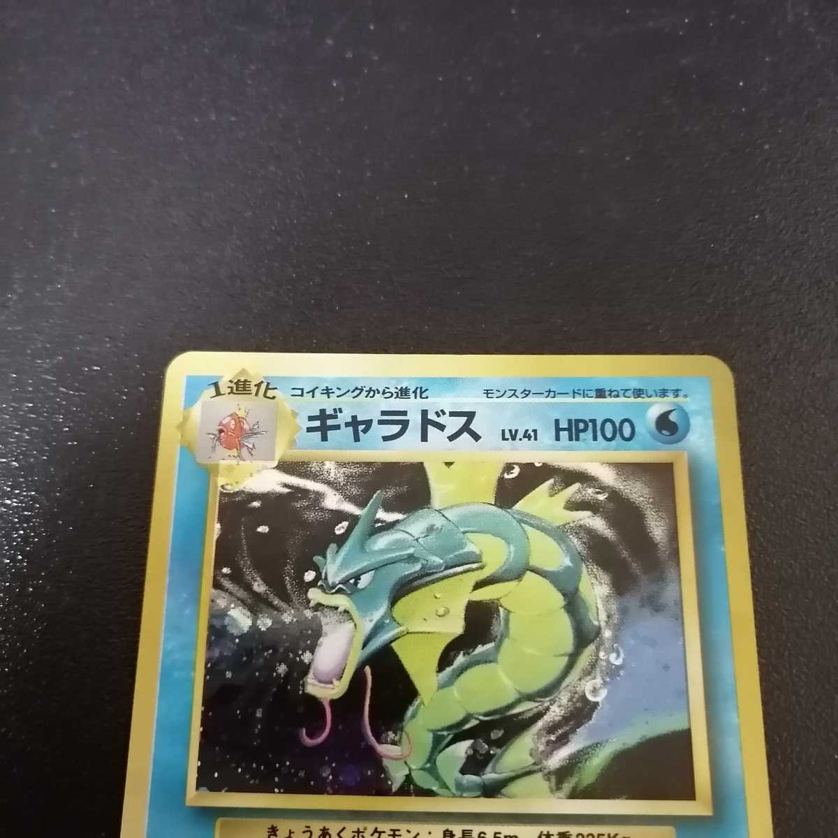 状態a ギャラドス 初期 旧裏 Www Dentalcareplus Fi