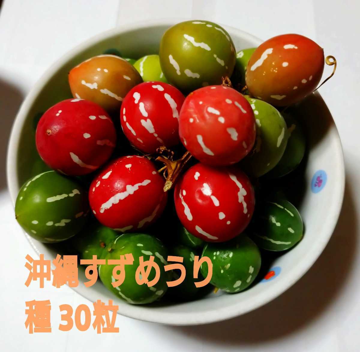 種 沖縄スズメウリ 沖縄すずめうり オキナワスズメウリ 種 売買されたオークション情報 Yahooの商品情報をアーカイブ公開 オークファン Aucfan Com