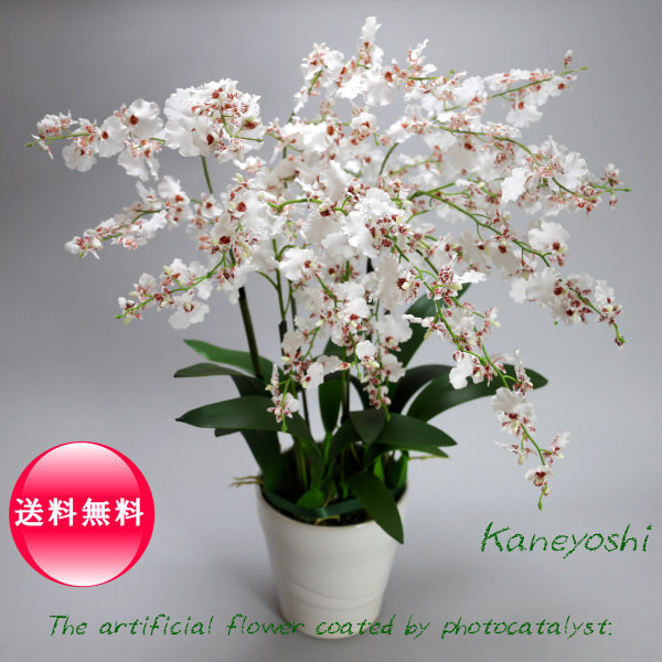 ☆ 染 花 大平栄子 1 ☆ - 花の彩事季 大平栄子 |本 栄子 140ml