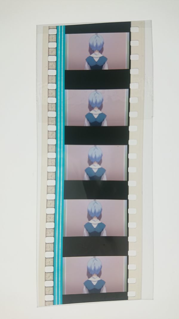 フィルム 綾波レイ エヴァンゲリオン 超希少 綾波 0 レイ エヴァ 初回