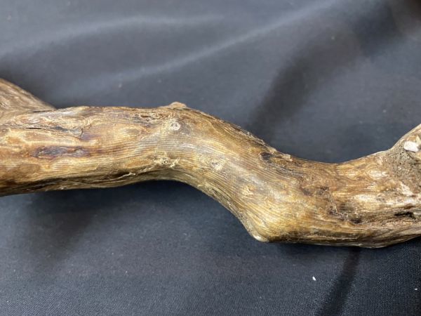 ☆珊瑚 サンゴ 深海松 約2780g 海松 原木 枝 虹色 宝石 ブルー 