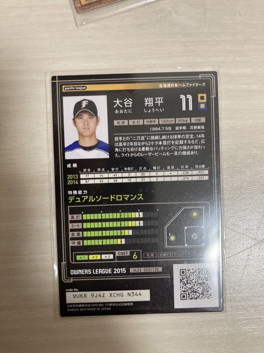 大谷翔平 オーナーズリーグ 15 シルバープリントサインカード 北海道日本ハムファイターズ シングルカード 売買されたオークション情報 Yahooの商品情報をアーカイブ公開 オークファン Aucfan Com