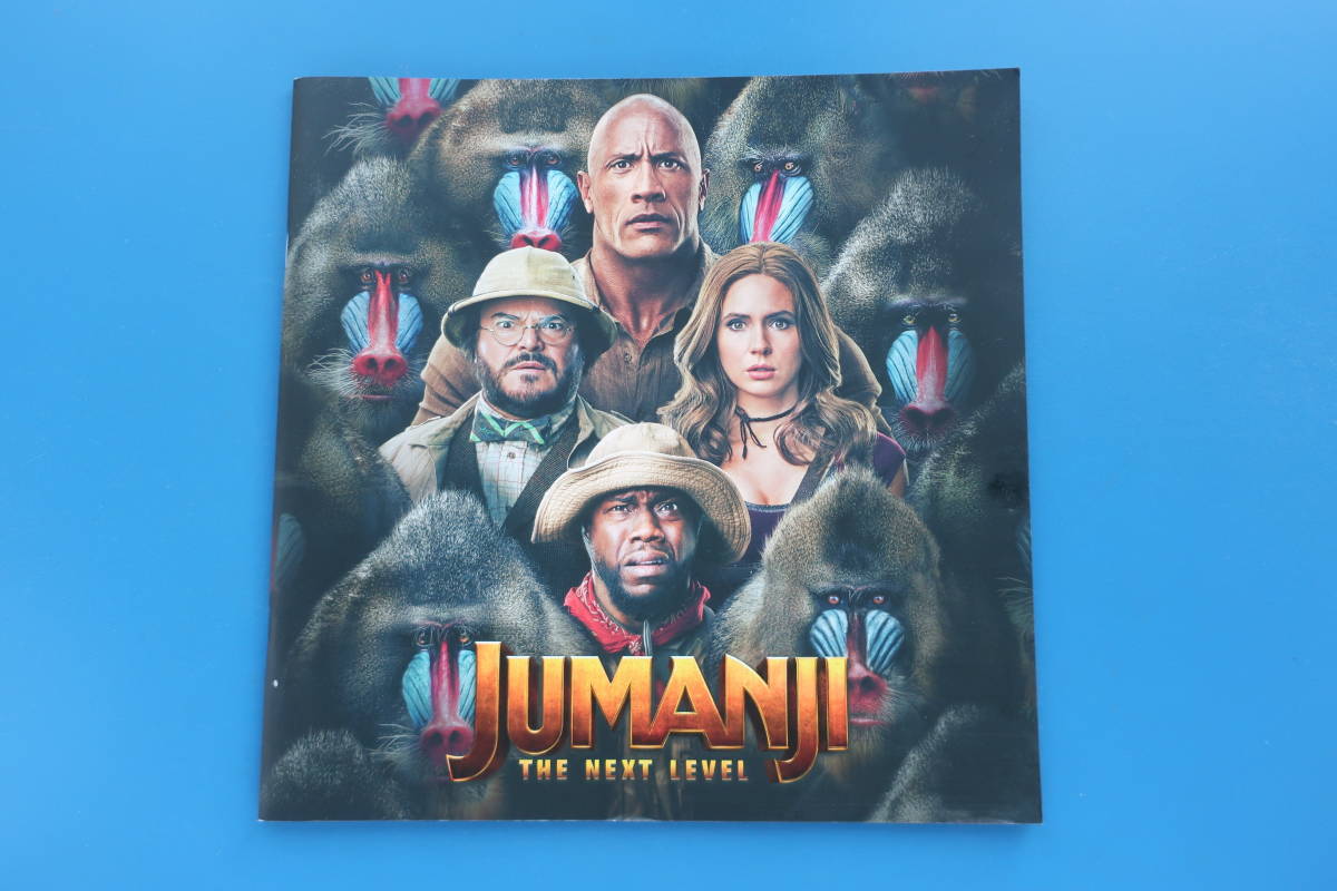 Jumanji The Next Level ジュマンジ ネクスト レベル 劇場版映画 