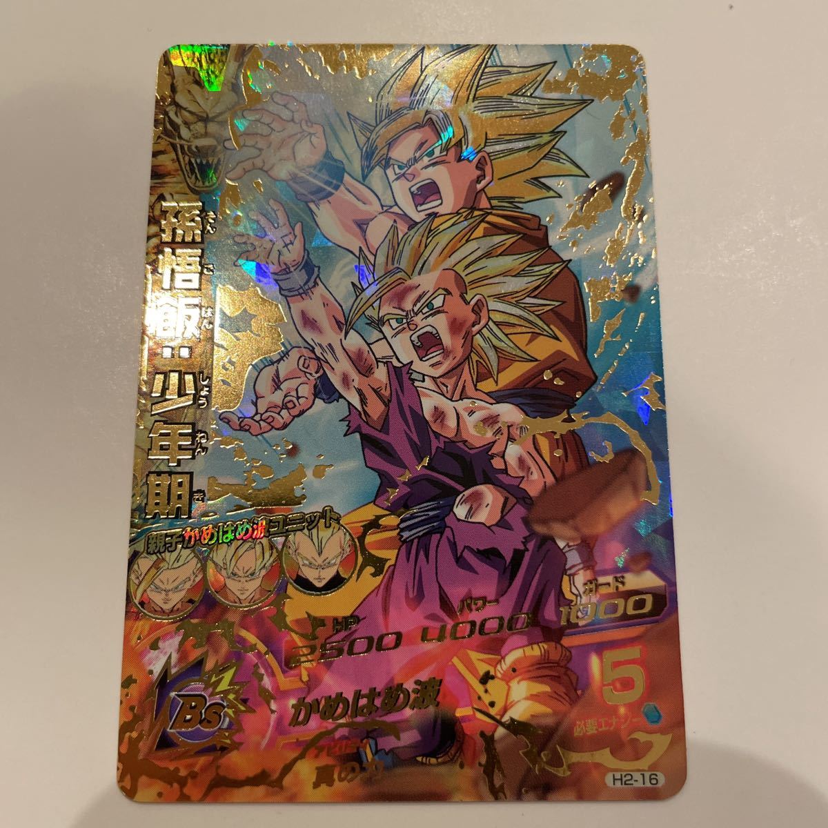 H2-16 孫悟飯美品