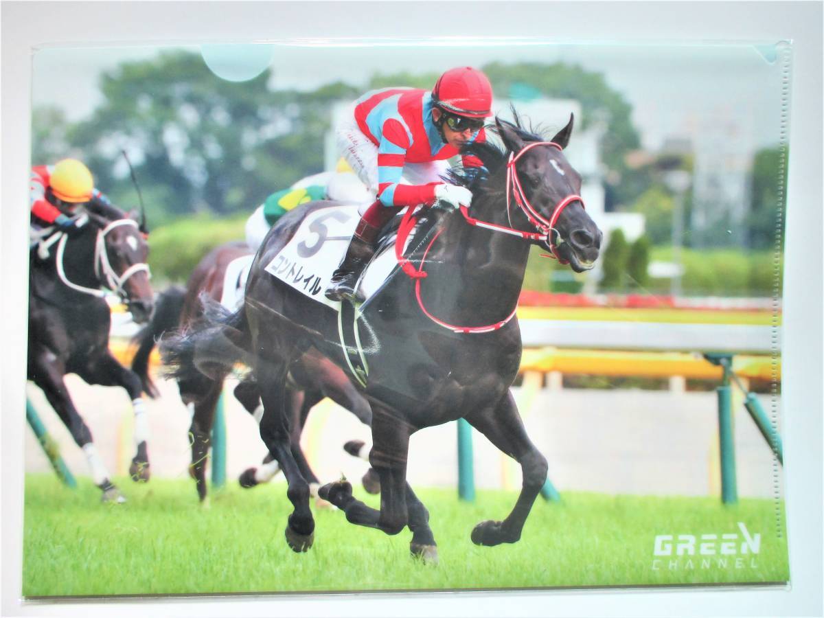 JRA グリーンチャンネル コントレイル クリアファイル(日本ダービー