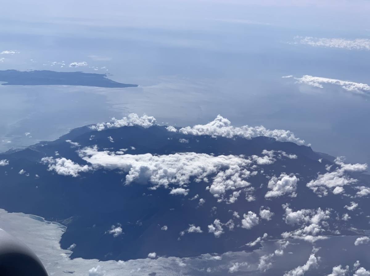 農家直送 ～規格外屋久島ポンカン　ぽんかん　１０キロ_4