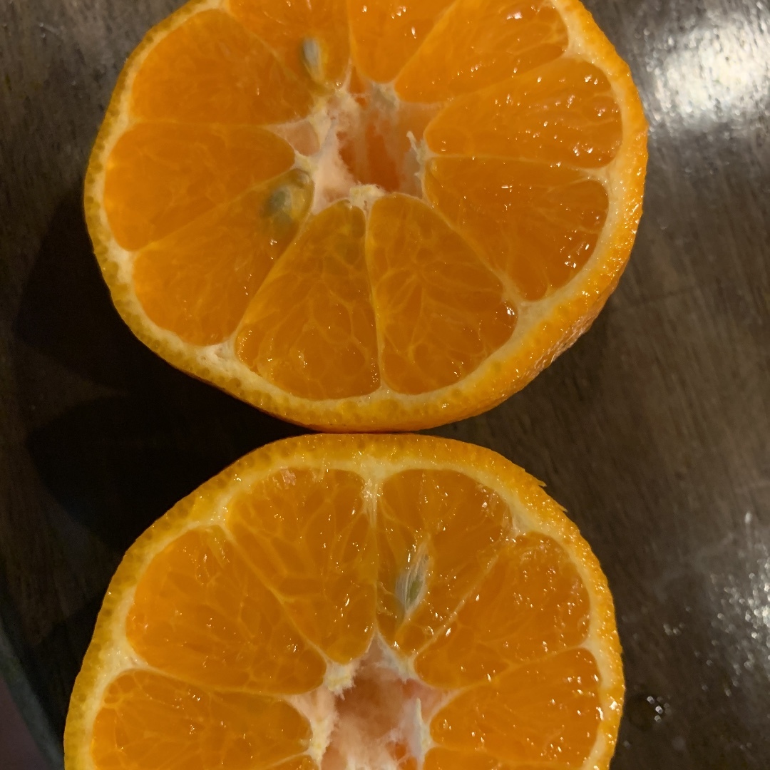 農家直送 ～規格外屋久島ポンカン　ぽんかん　１０キロ_5