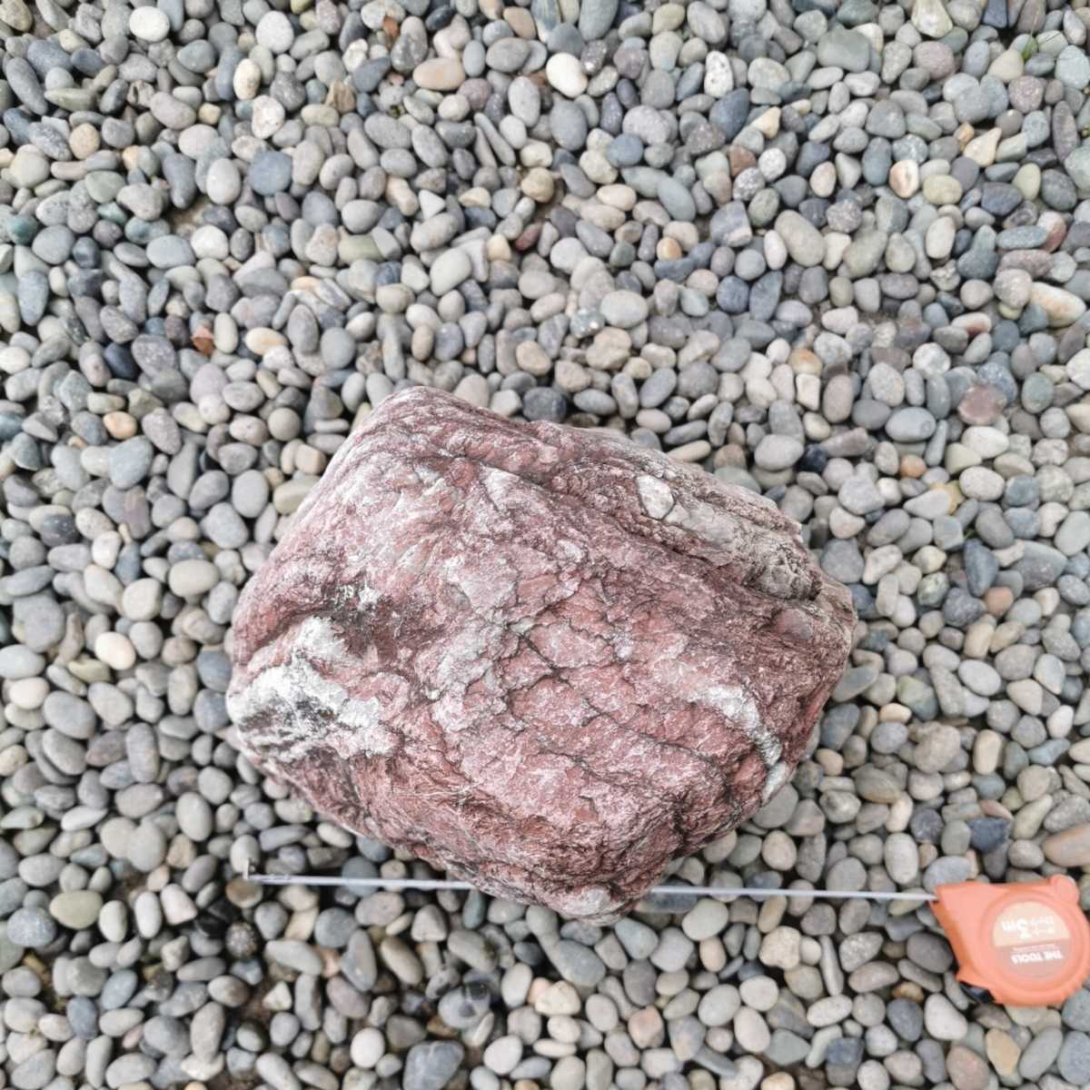 鑑賞石・ガーデニング・庭石 秋田産 珪化木 13.3キロ 庭石 石 鑑賞石 
