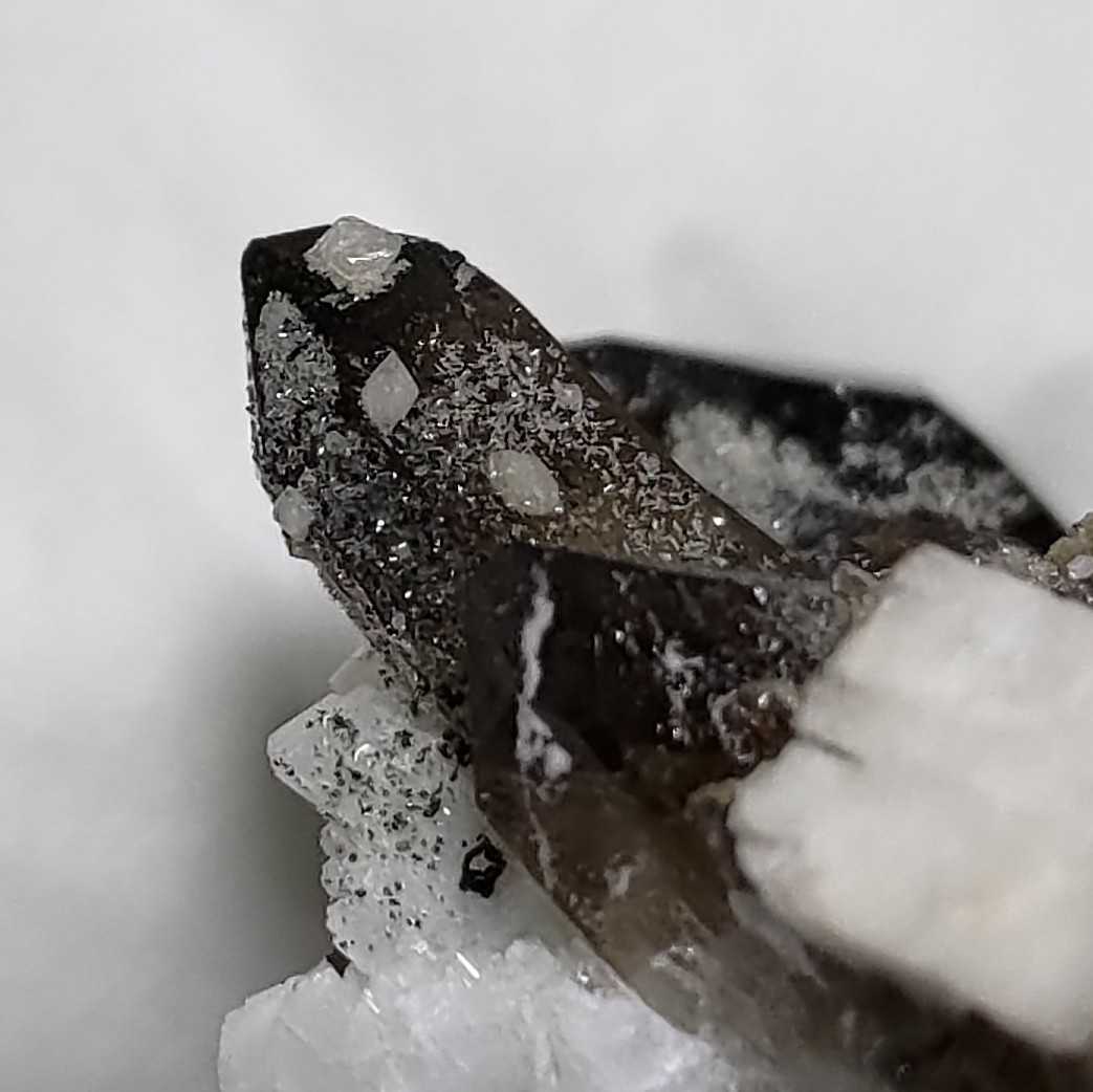 & 岐阜県蛭川田原産 Quartz 産 (Smoky 煙水晶 Hyalite - 国産鉱物 