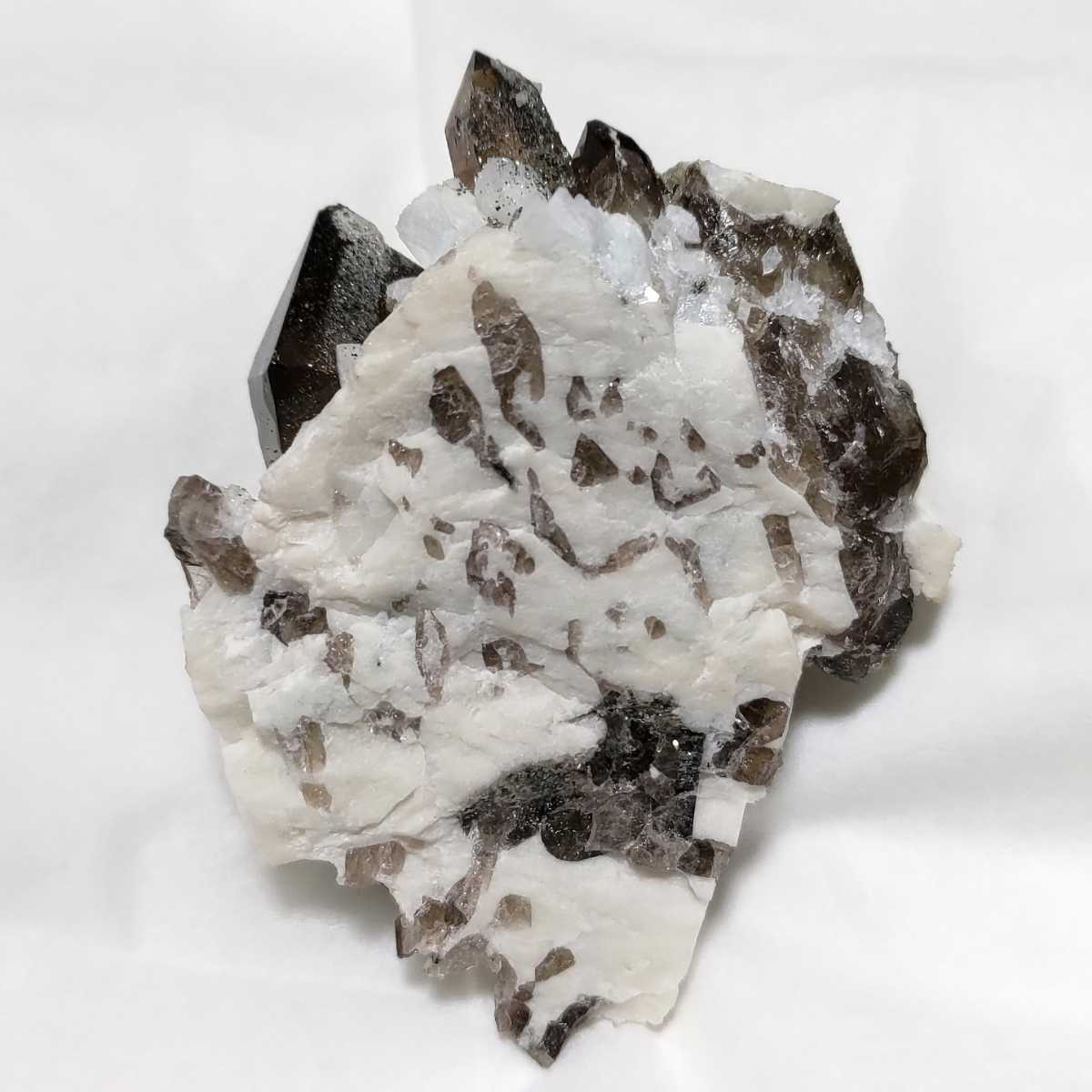 & 岐阜県蛭川田原産 Quartz 産 (Smoky 煙水晶 Hyalite - 国産鉱物 