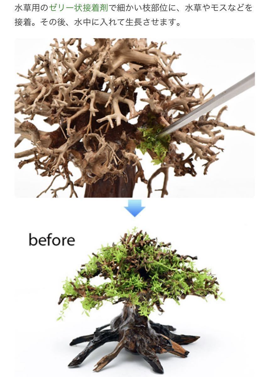 溶岩付 盆栽 流木 五葉松 水景流木 ウィローモス活着 木 流木21 26ｃｍ アクアリウム レイアウト 水槽 石 パルダリウム 水槽装飾品 売買されたオークション情報 Yahooの商品情報をアーカイブ公開 オークファン Aucfan Com