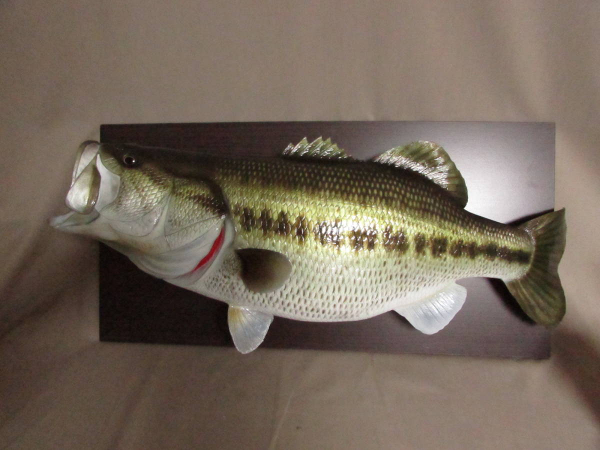 ●ハンドメイド　６２ｃｍブラックバス壁掛け　フィギュア　レプリカ　模型　手作り バス釣り　fish craft REAL