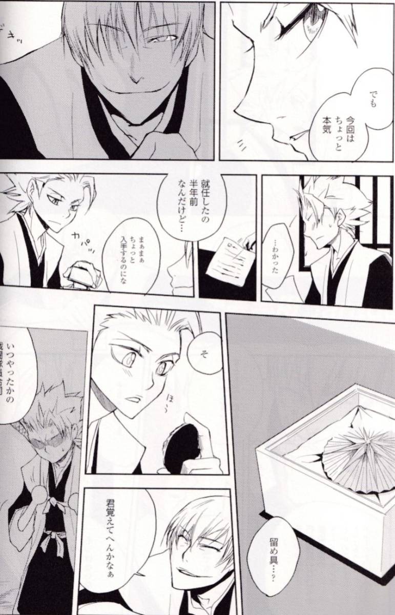 BLEACH ブリーチ□雷電＋『銀婚式』【再録】市丸ギン×日番谷冬獅郎