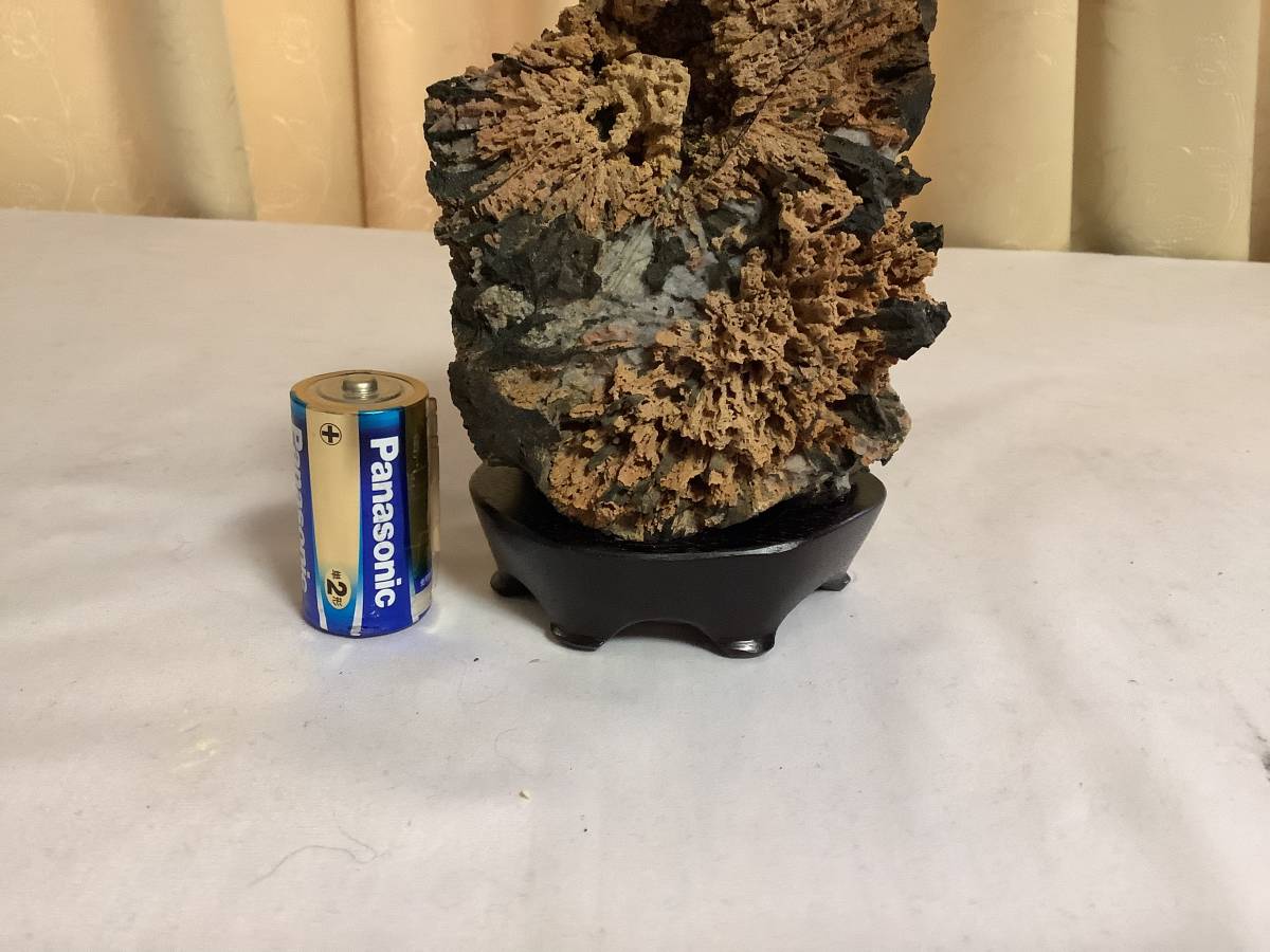 保管番店 菊花石 サバ菊 サバ花 水石 鑑賞石 サバ菊 菊花石