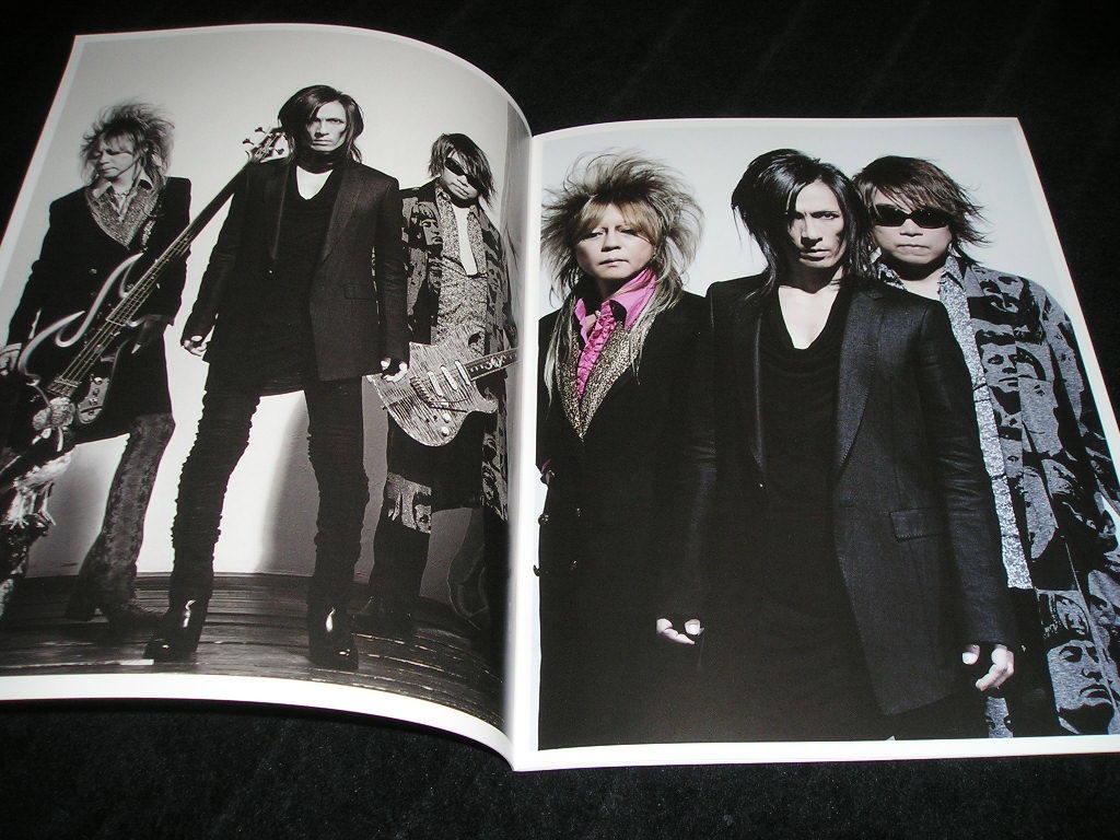 DEAD END tour 2012 Dream Demon Analyzer パンフレット 2012年 デッド