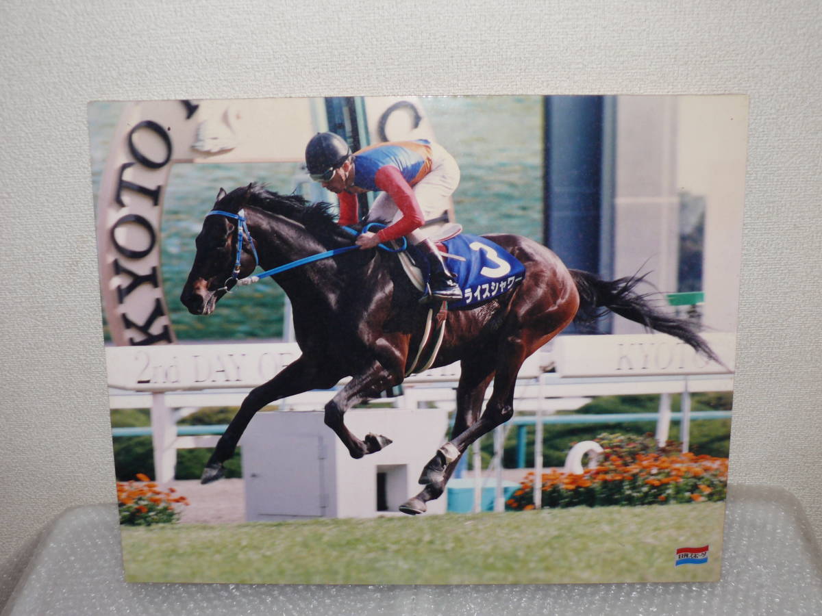 ライスシャワー 天皇賞 春 日刊スポーツ 写真パネル 春 天皇賞 ライス