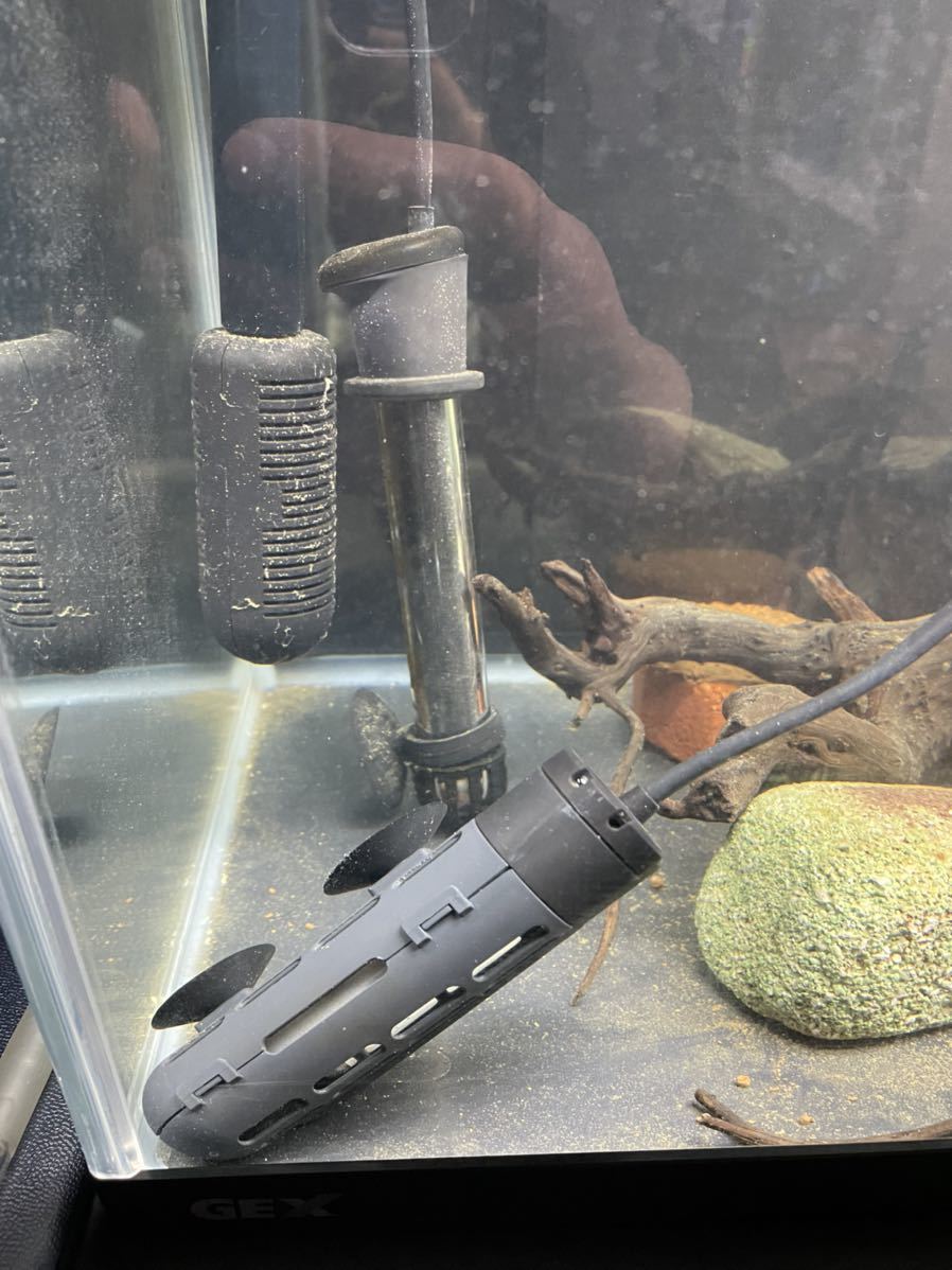 60cm水槽2個 水槽台 ヒーターなど色々セット 熱帯魚 60cm 売買されたオークション情報 Yahooの商品情報をアーカイブ公開 オークファン Aucfan Com