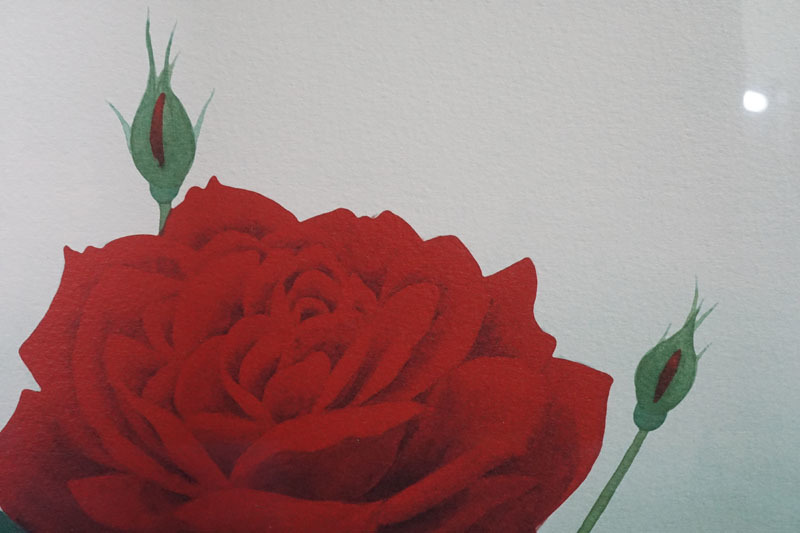 那波多目功一 リトグラフ 薔薇 ばら バラ 33⁄200 額 額装 - メルカリ