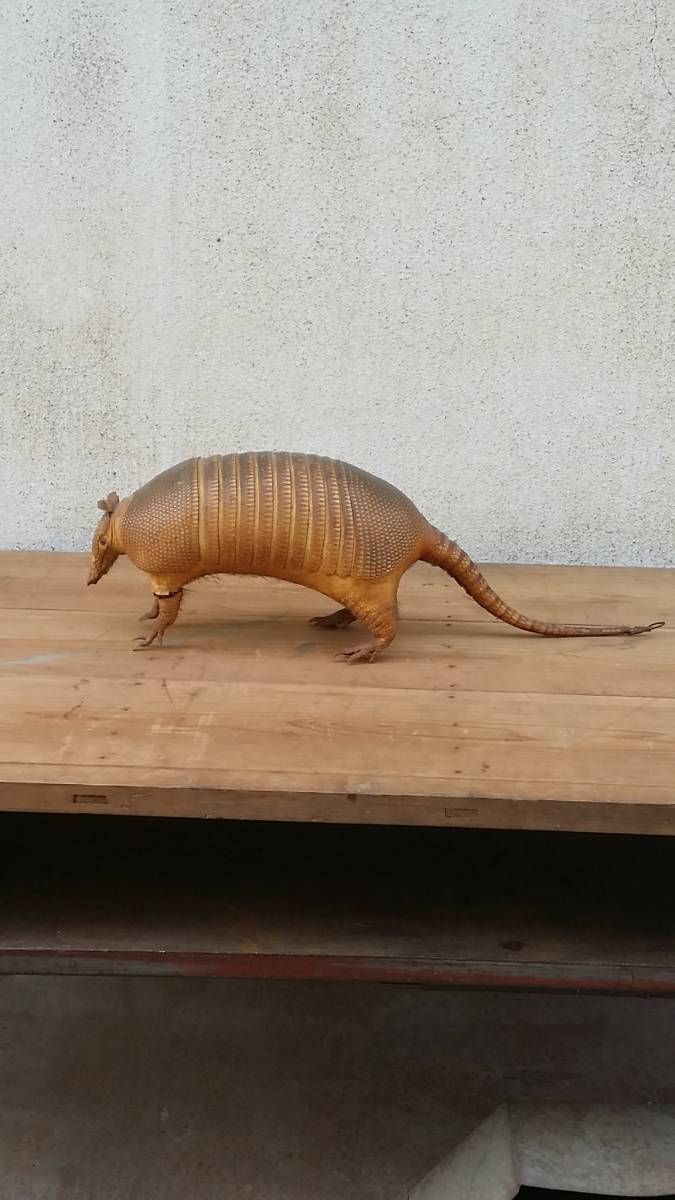 レア 希少 アルマジロ 剥製 希少 標本 動物 昭和レトロ オブジェ 置物