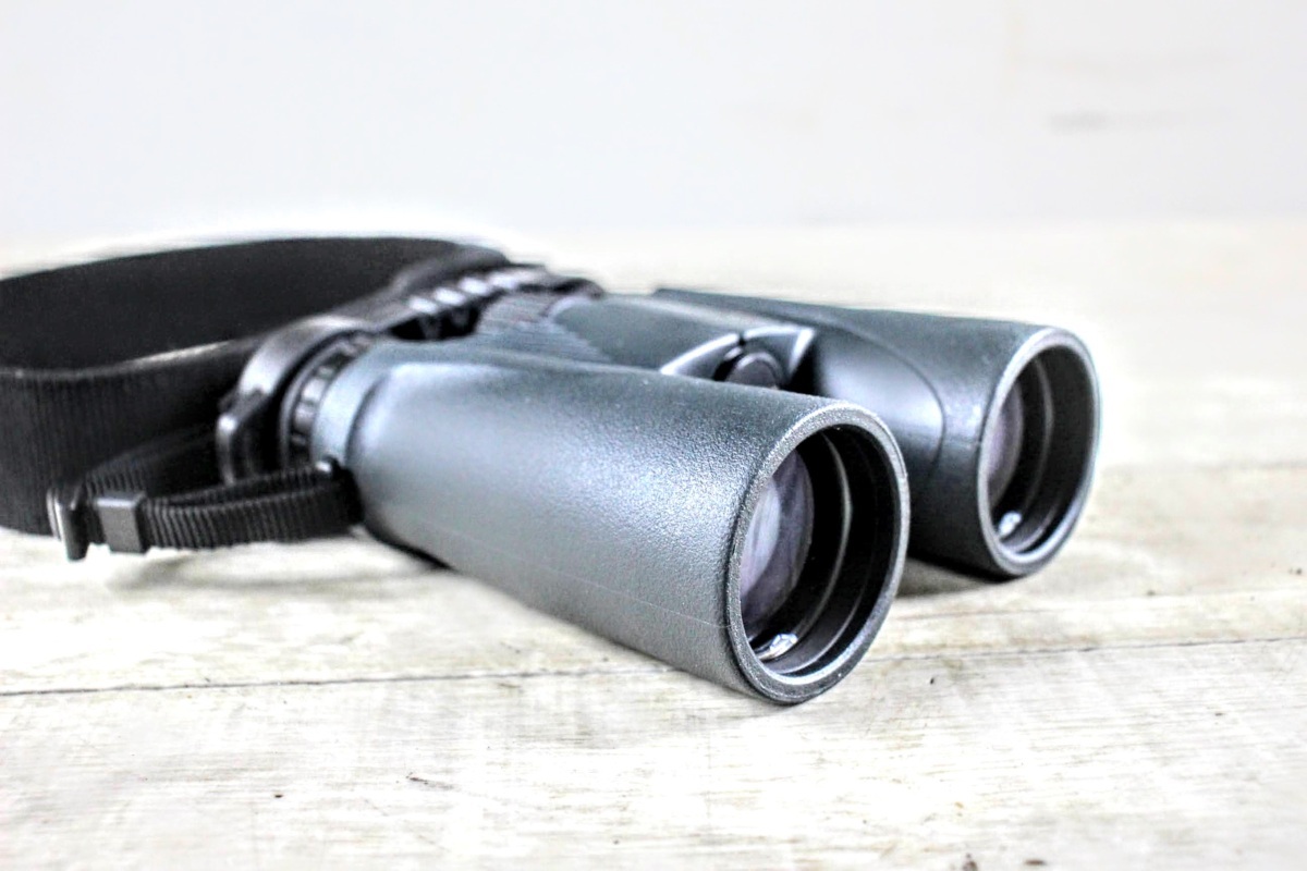 No.493　NIKON　ニコン　双眼鏡　8×42　6.3°　ウォータープルーフ　収納ケース付 Nikon 双眼鏡 8x42 8倍 通販全品 World｜野鳥撮影やバード