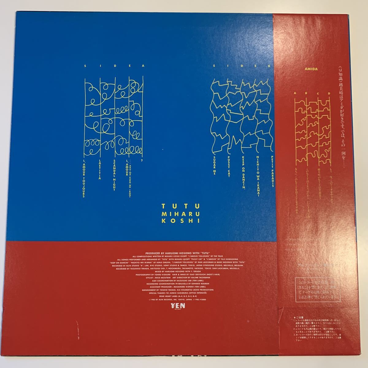 越美晴 チュチュ MIHARU KOSHI TUTU 細野晴臣 HARUOMI HOSONO YLR