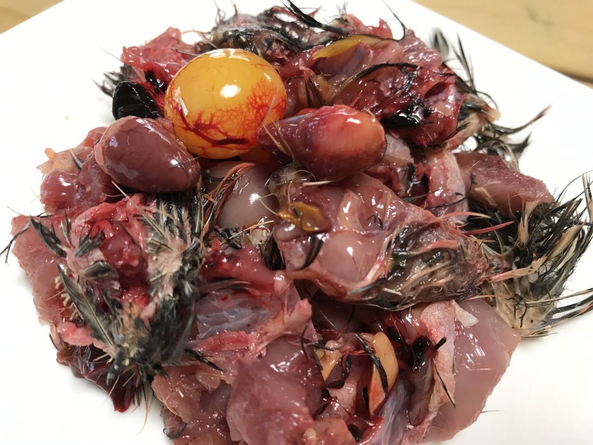 北海道産 無薬 冷凍ウズラ 100羽 未処理 無薬猛禽類・爬虫類などに