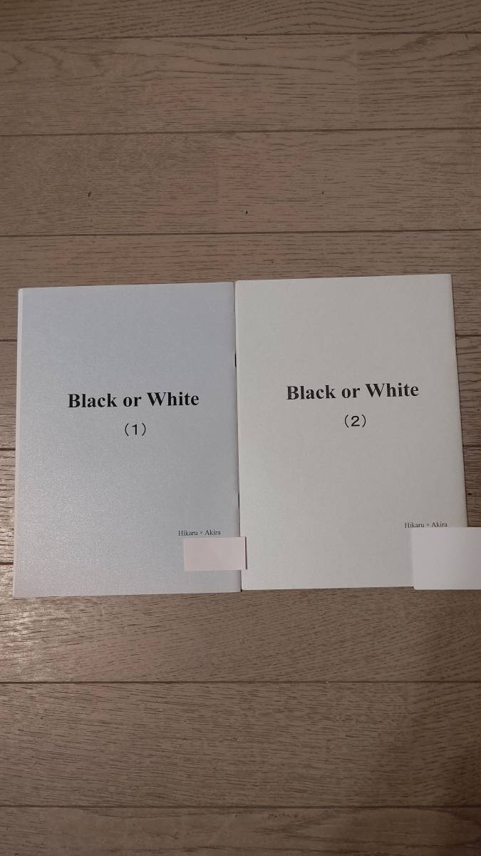 ヒカルの碁同人誌秒速30万 ヒカアキ小説コピー本2冊セット ヒカルの碁 売買されたオークション情報 Yahooの商品情報をアーカイブ公開 オークファン Aucfan Com