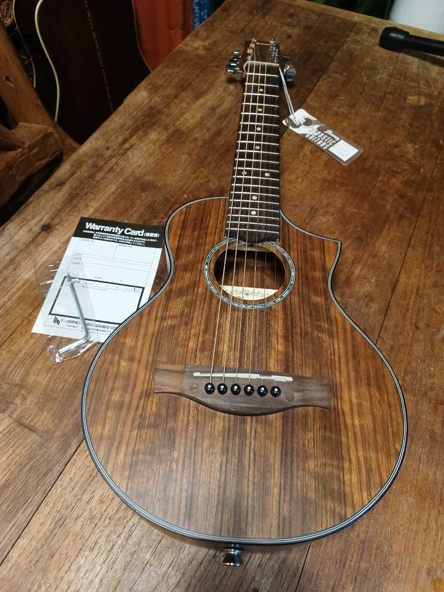 極美品》Ibanez アコースティックギター EWP14WB-OPN 純正 極美品》Ibanez アコースティックギター EWP14WB-OPN 純正