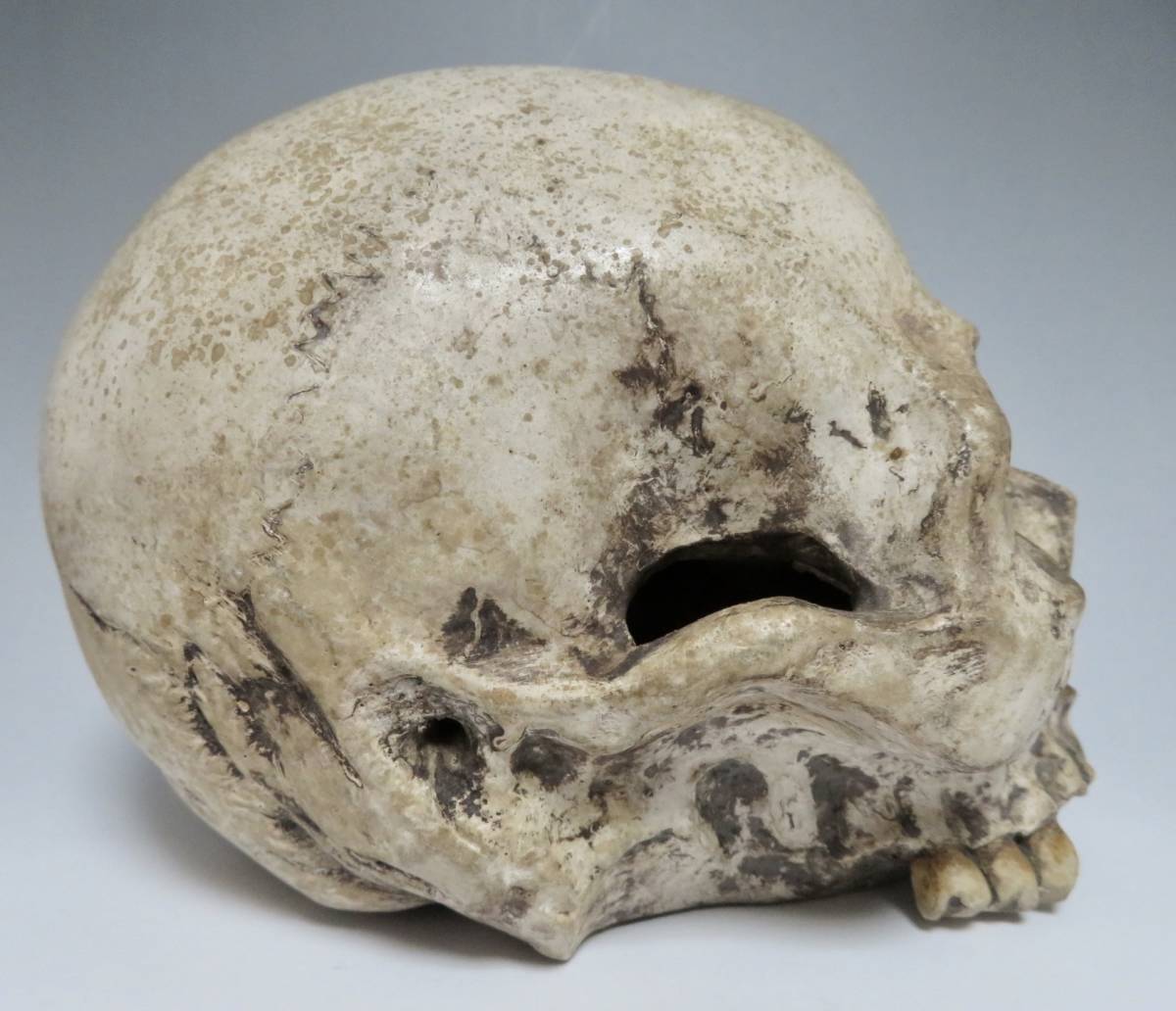 珍品 陶器製 しゃれこうべ 蛇にどくろ 髑髏 頭蓋骨 ガイコツ 置物