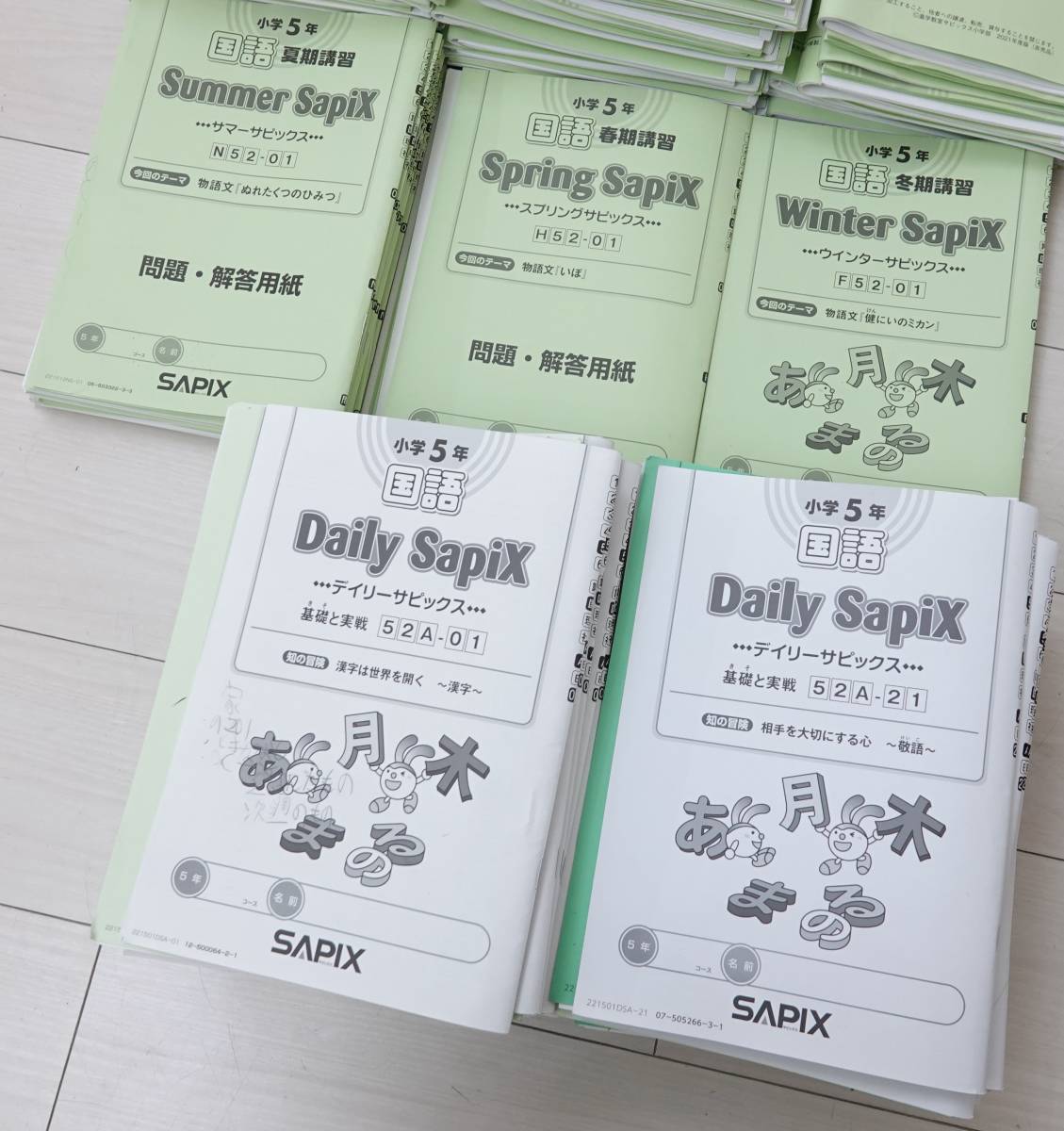 デイリーサピックス 小学2年生 国語 算数 SAPIX 小2 デイリー