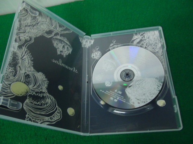 DVD 米倉利紀 toshinori YONEKURA concert tour 2015 gotta crush on